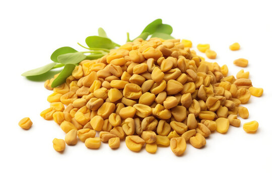Fenugreek (வெந்தயம்)