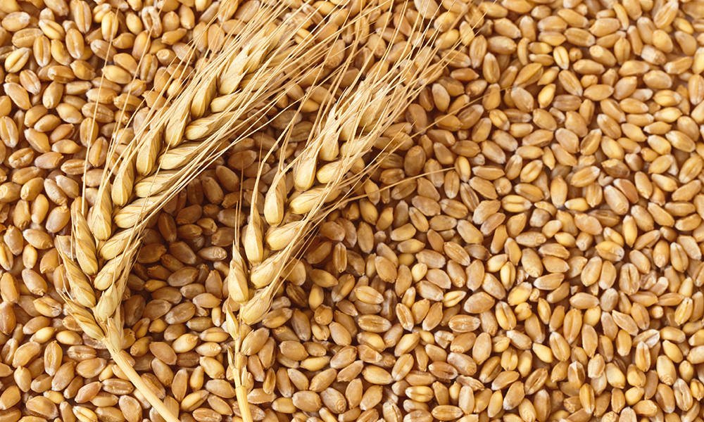 Wheat (கோதுமை) 1kg